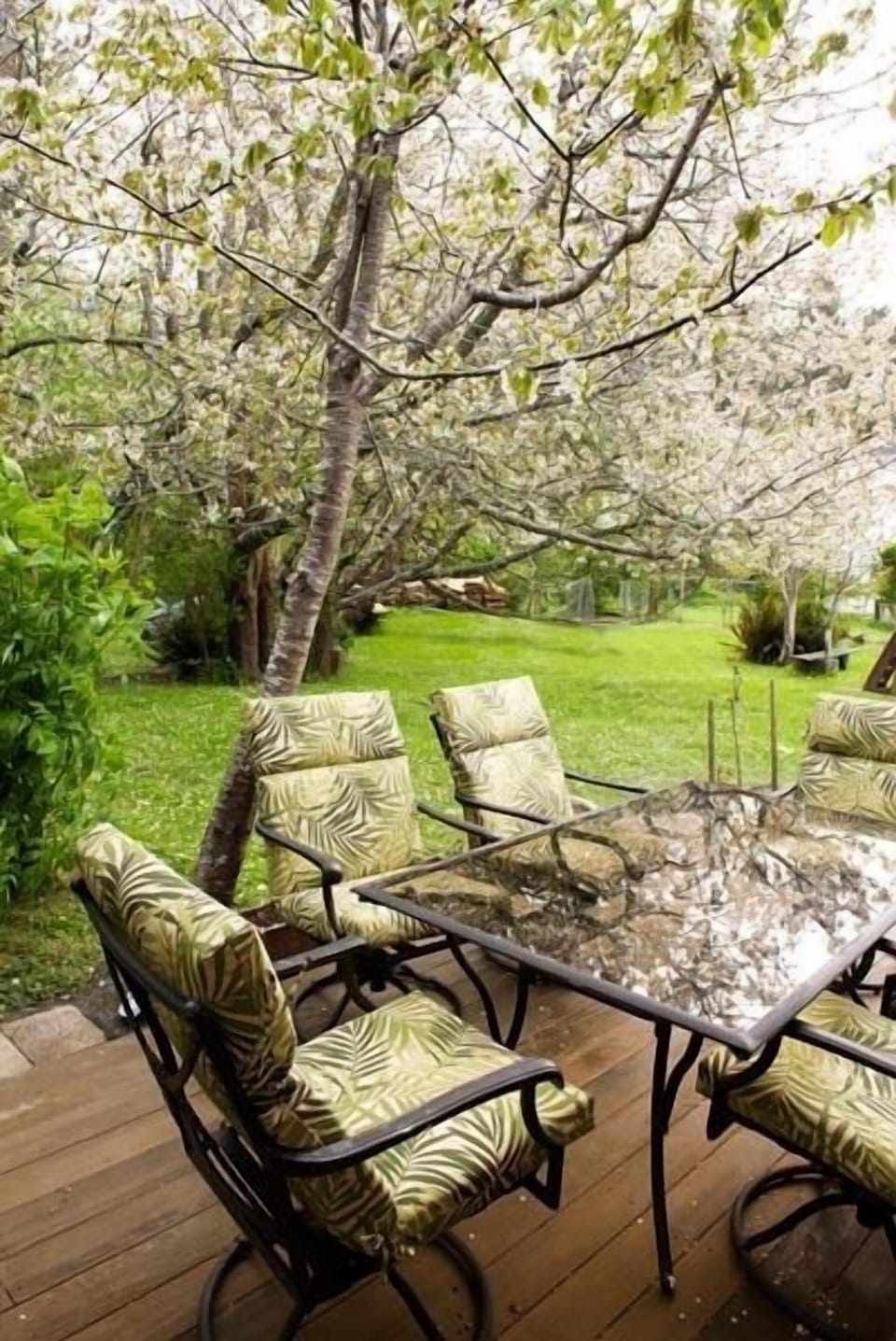 The wrap around deck with glass tables and very comfortable rocking chairs