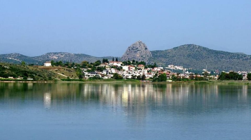 Overview