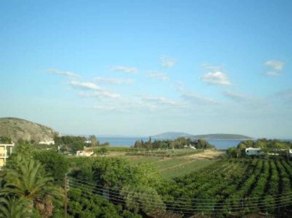 Beach view