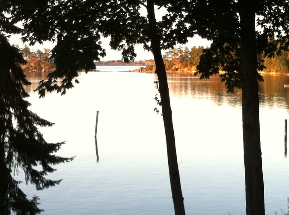 Looking northeast from Living Room.