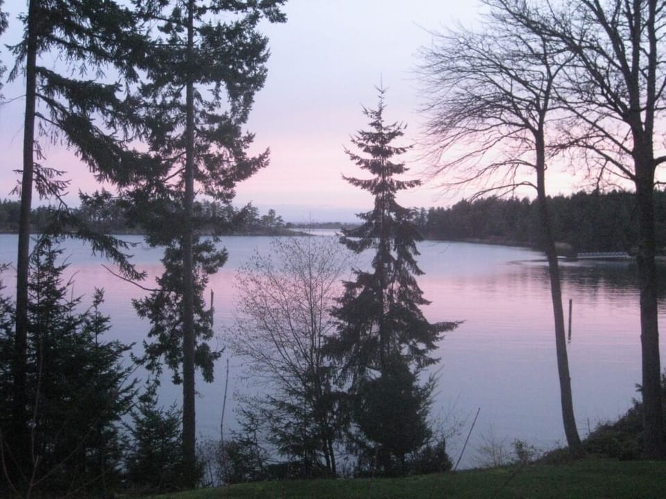 looking northeast from lLiving Room