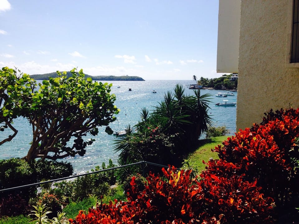 View from property