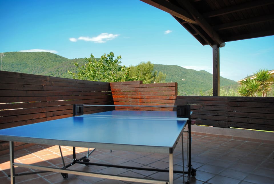 Tenis table