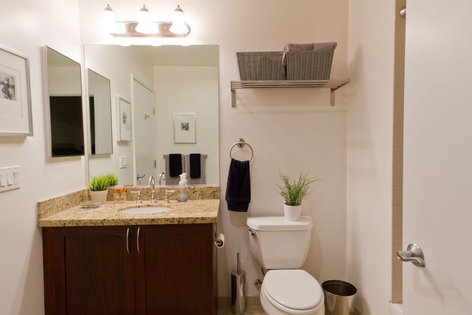Bathroom View