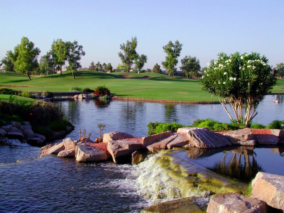 Your view while enjoying  brunch at the Ocotillo Grille in Chandler, AZ
