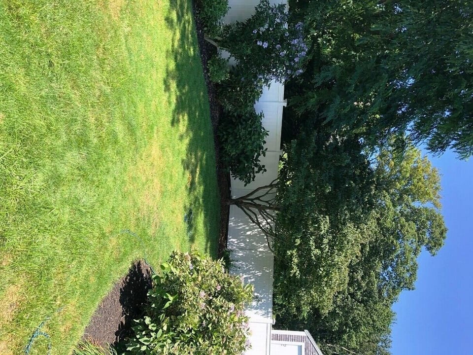 Side Yard Area