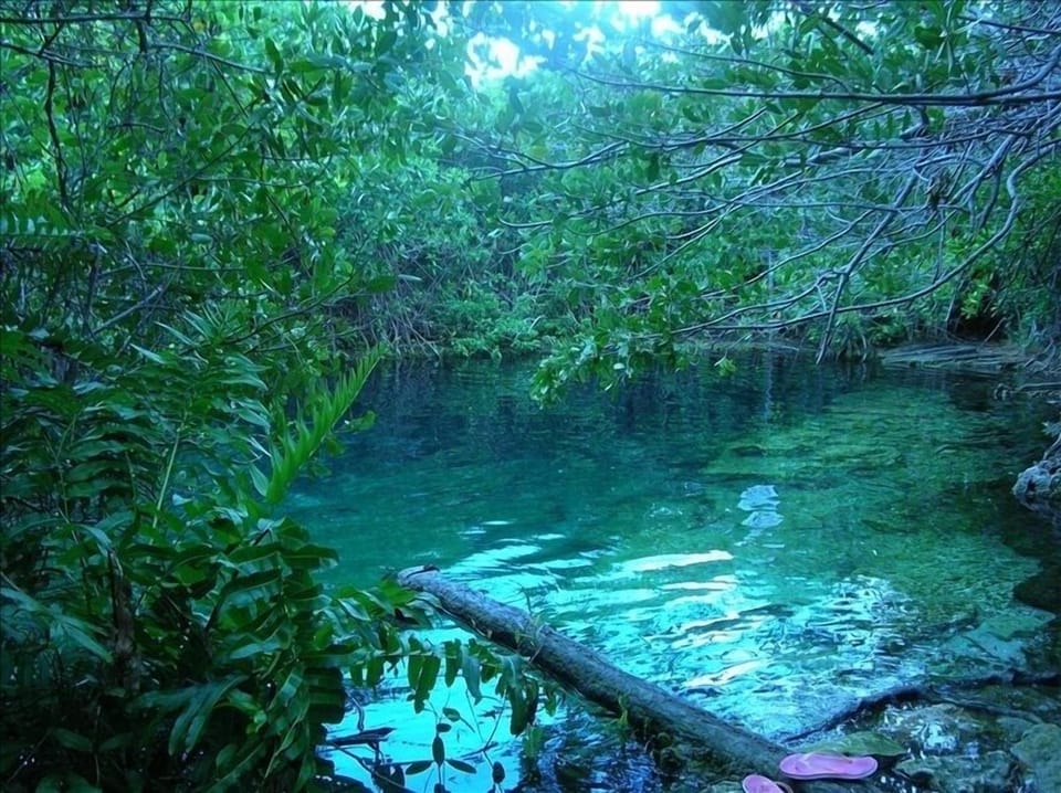The cenote at our local beach.  Reminds me of the movie 'Blue Lagoon'.