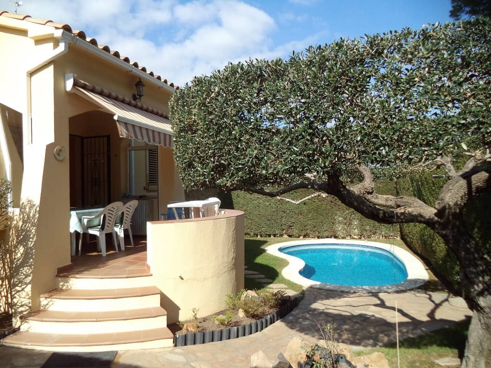 Pool, terrace and garden