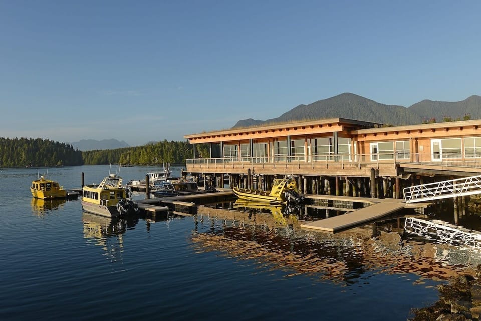 Newly constructed dock