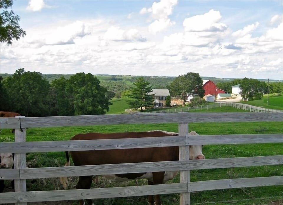 Peaceful Amish & Farm Countryside