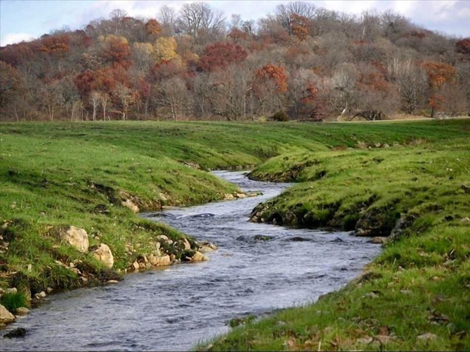 Nearby Brook Trout on Big Spring Creek