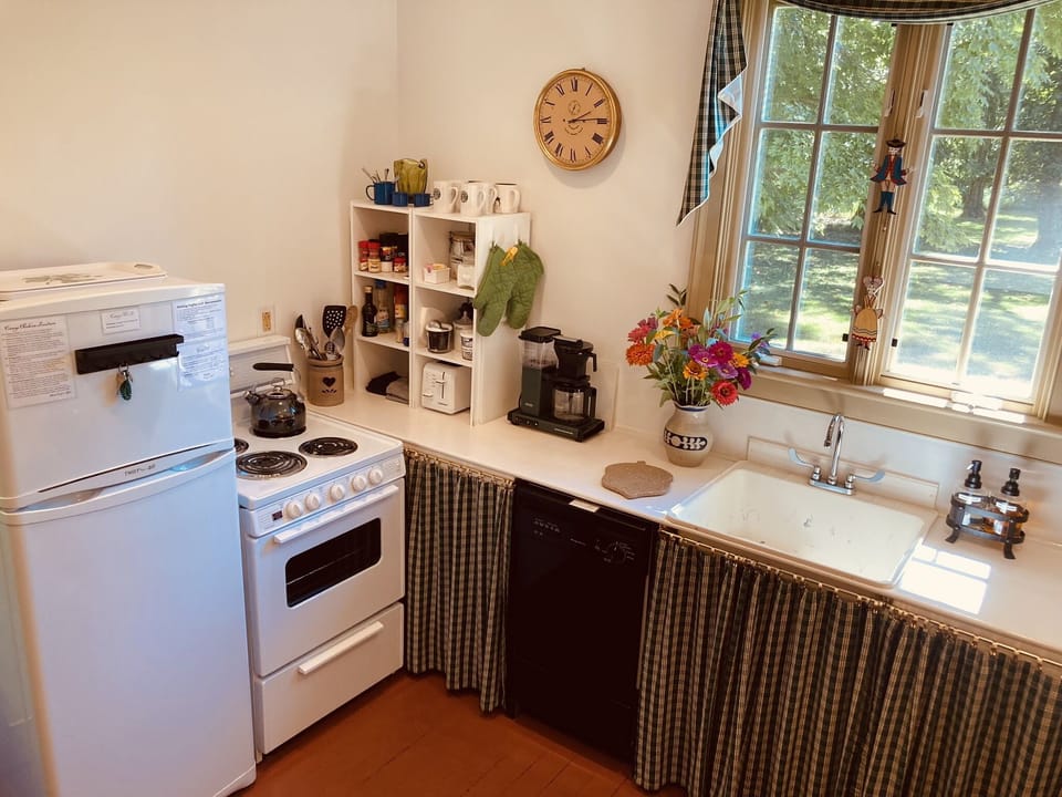 The kitchen has all the basics: fridge, stove, small dishwasher, and microwave.