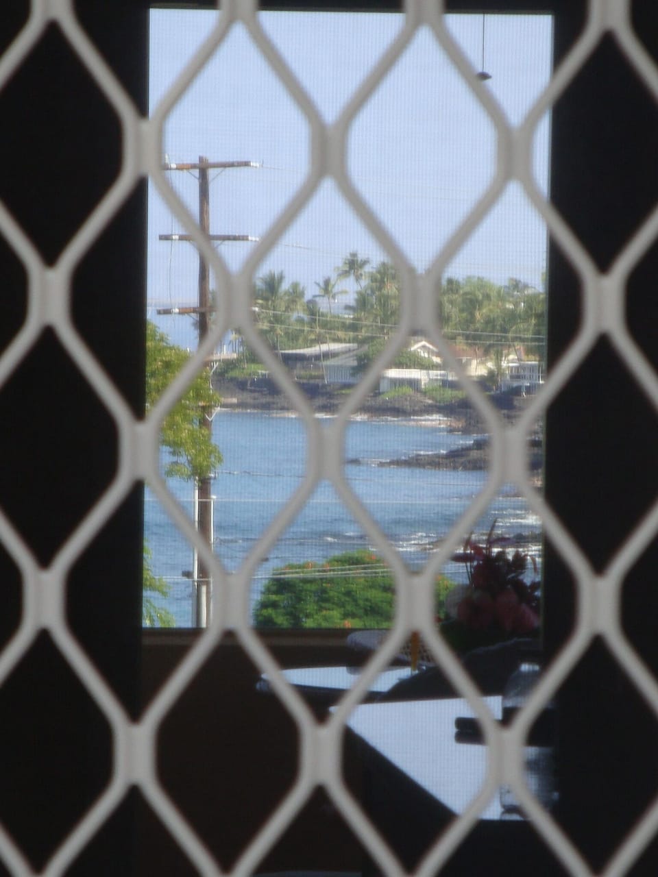 This is what sold us on our condo...the view as you come in the back door.
