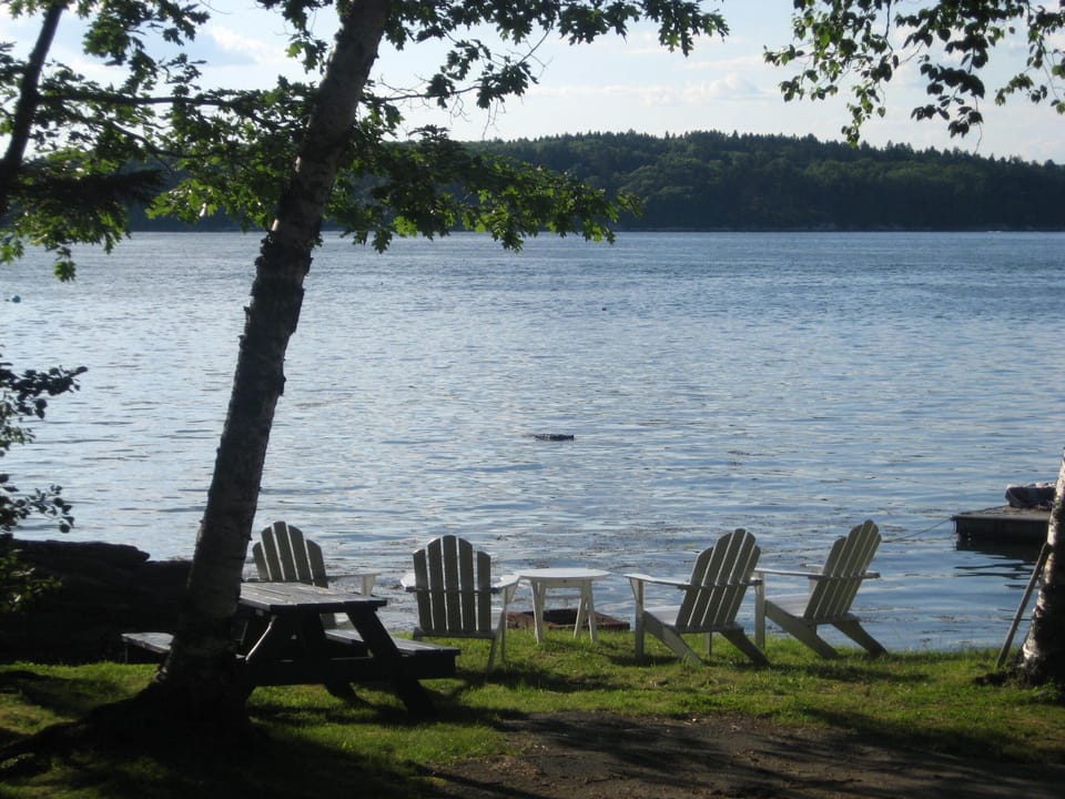 Adirondack chairs and picnic table by the water