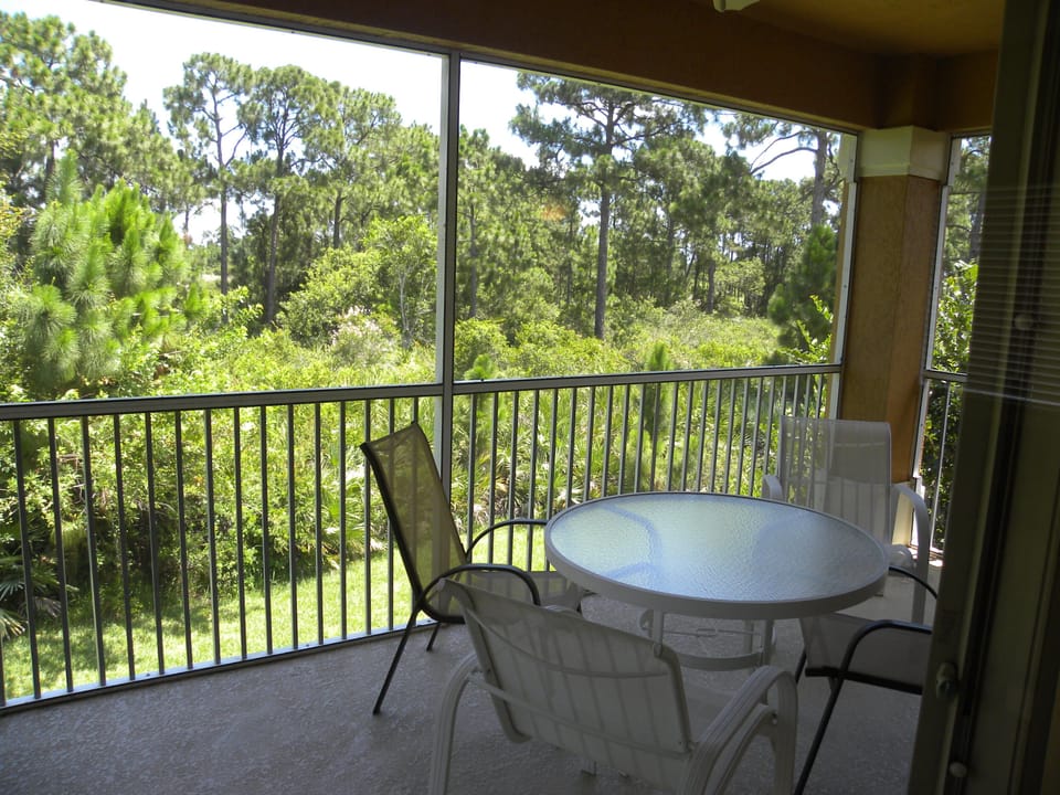 View of patio and Preserve in back