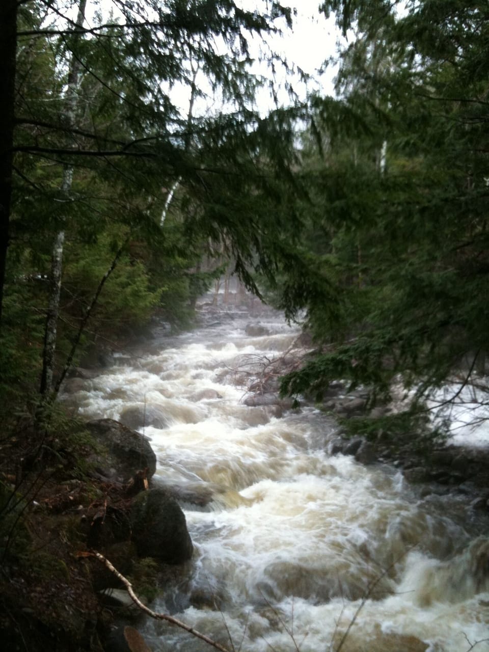 spring run off- our private stream out back