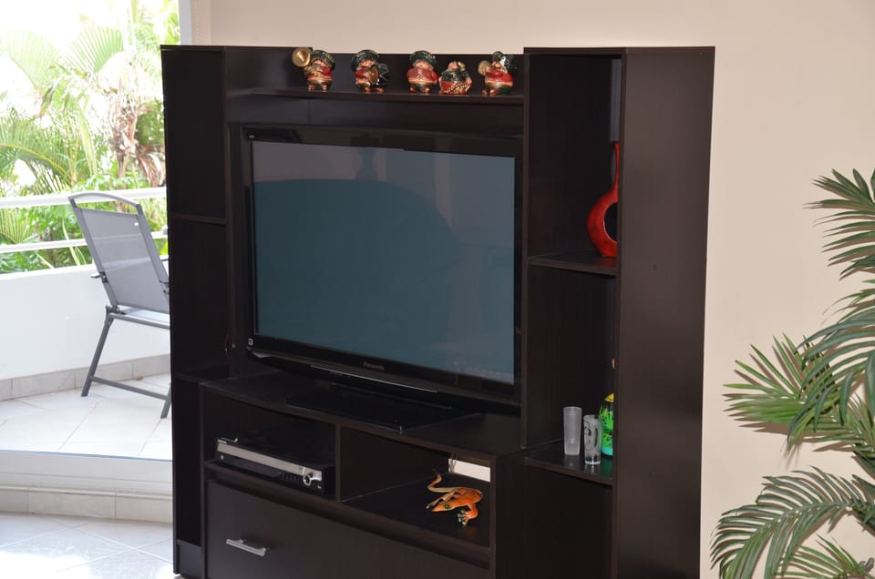 New entertainment center with 42inch TV and video library.