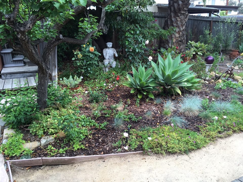Garden in bloom