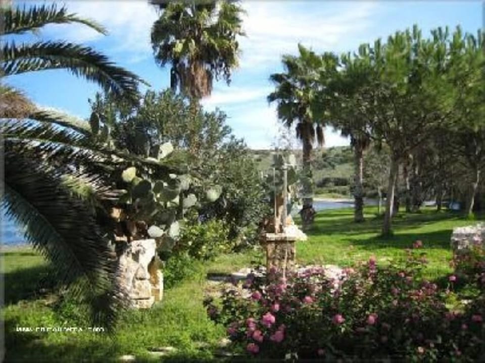 Garden, Park