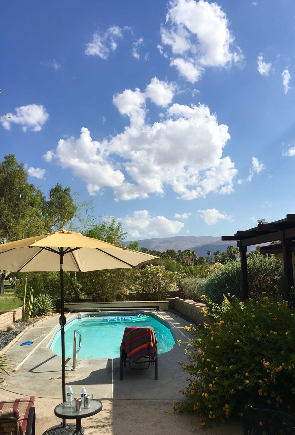 Pool time!