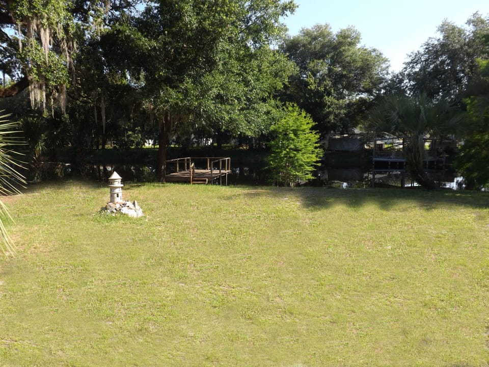 back yard