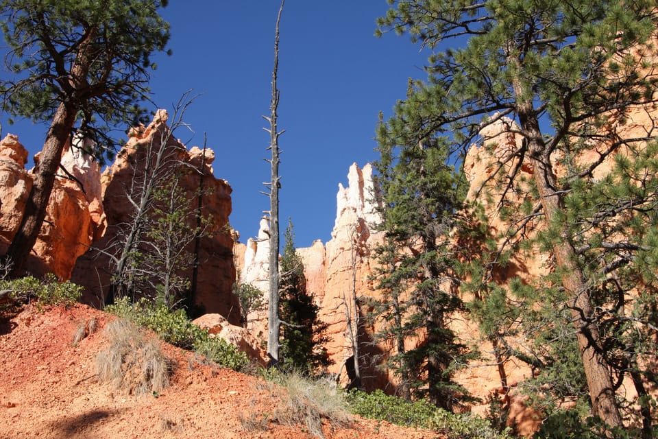 Bryce Canyon National Park