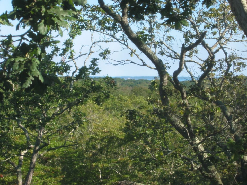 Distant water view of Vineyard Sound