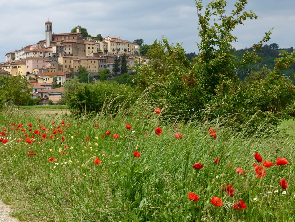 Lovely Monterchi