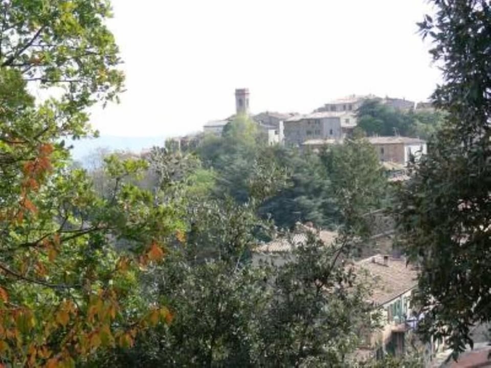 Overview