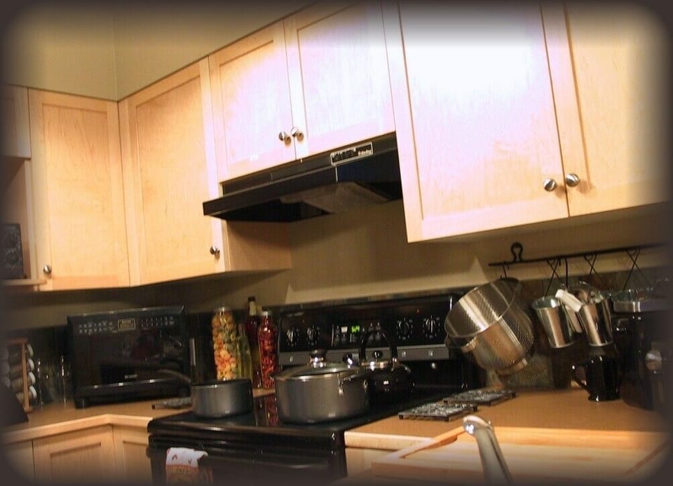 Well-equipped gourmet kitchen, with dishwasher