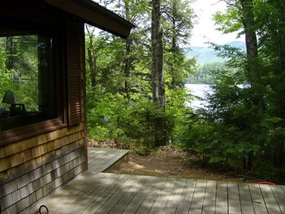 The view east. The cabin is on a small hill with 180 degree views.