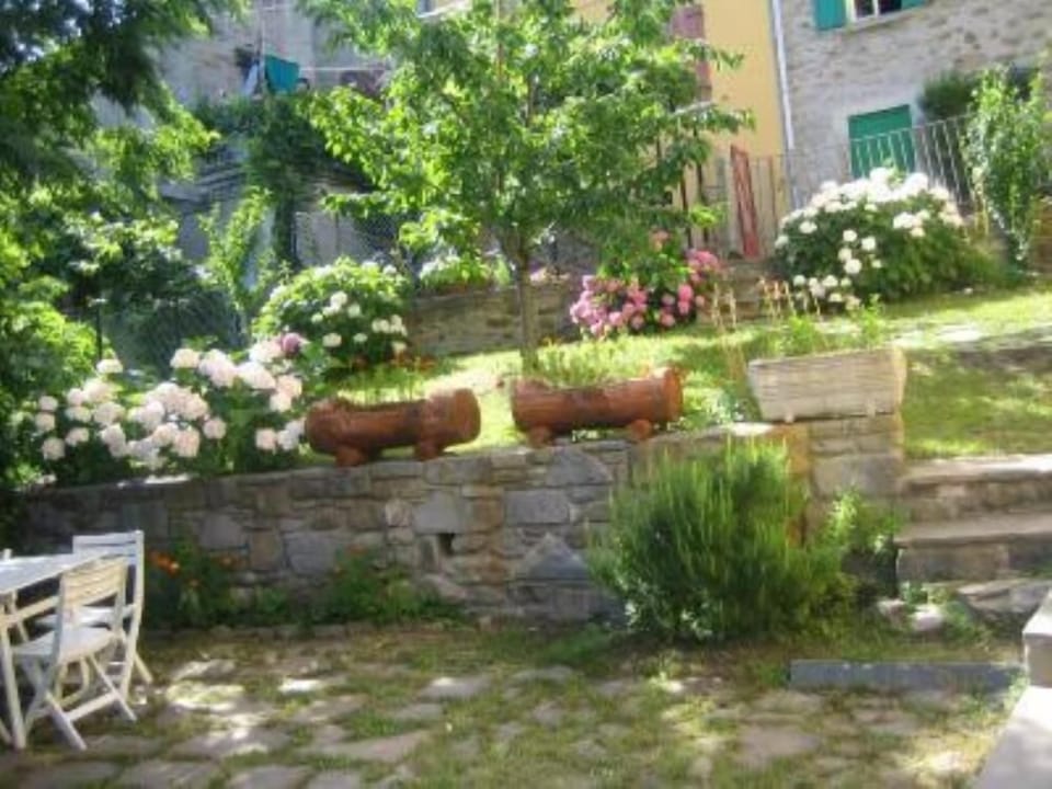 Garden, Park