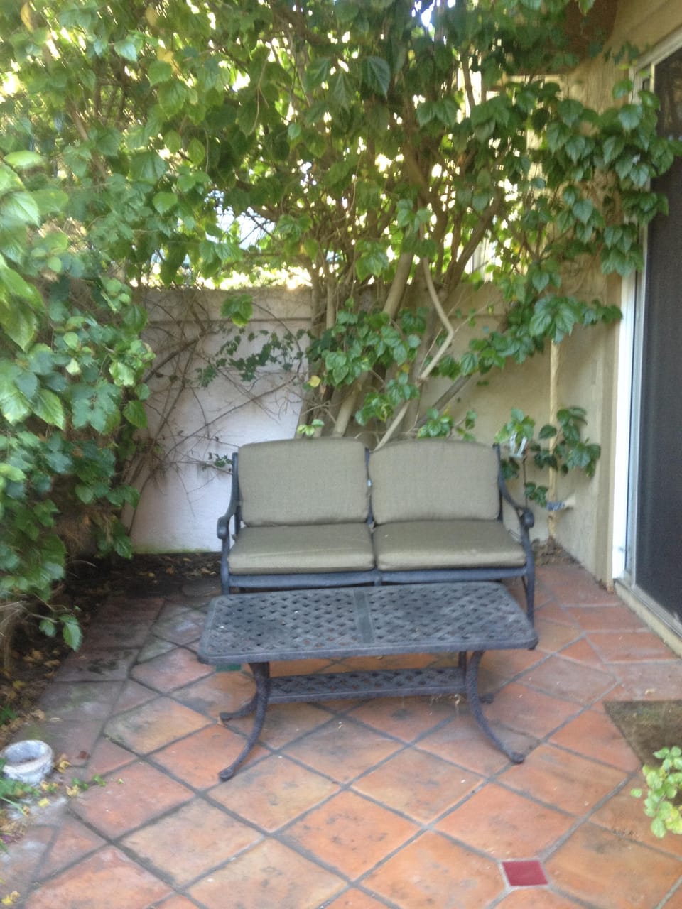 Patio area