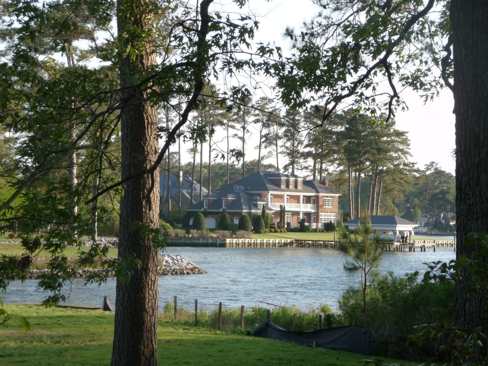 View from Back Yard