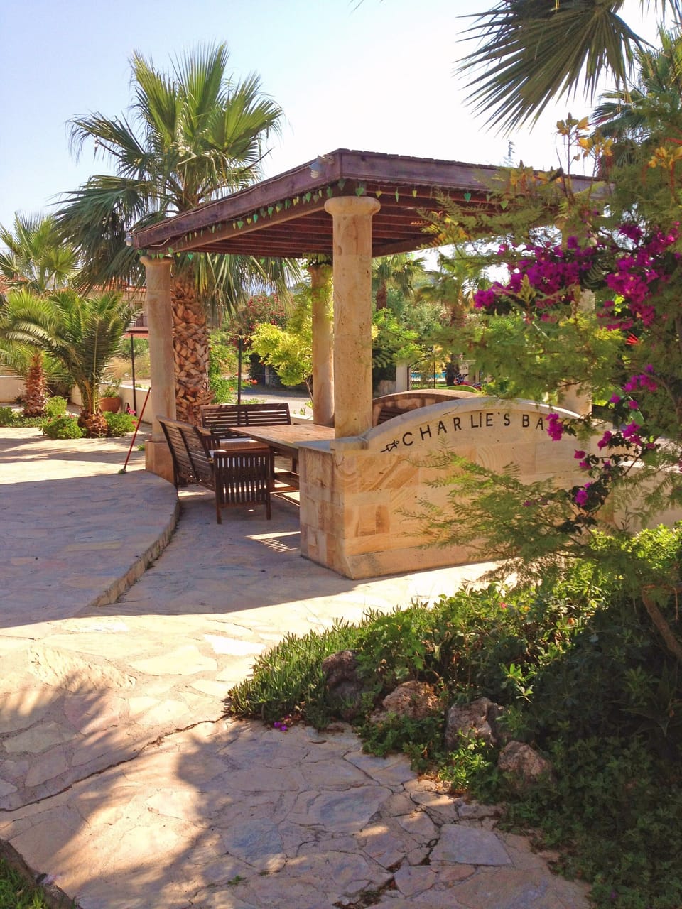 Private covered bar seats 12 for alfresco dining with  palm tree surrounding