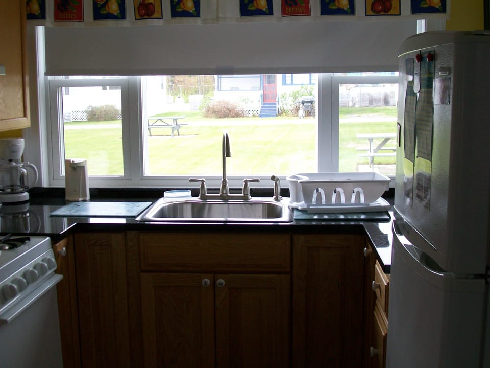 View from the kitchen area of the grassy/picnic area with new windows for air.