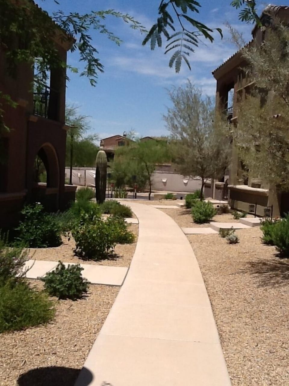 Nothing like the Arizona landscape!!! Path from front door.
