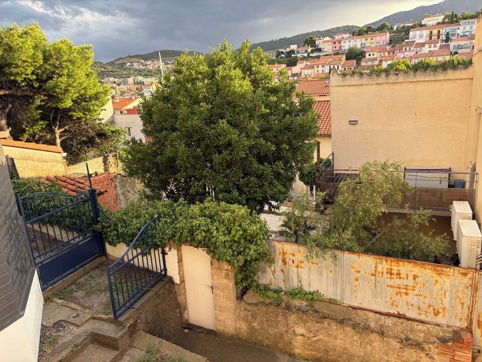 View from kitchen area window