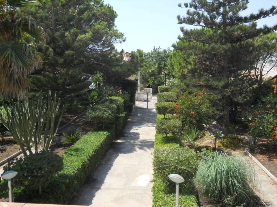 Garden, Park