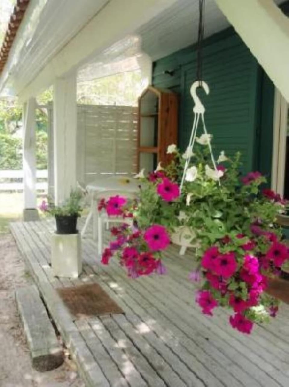 Terrace / Balcony