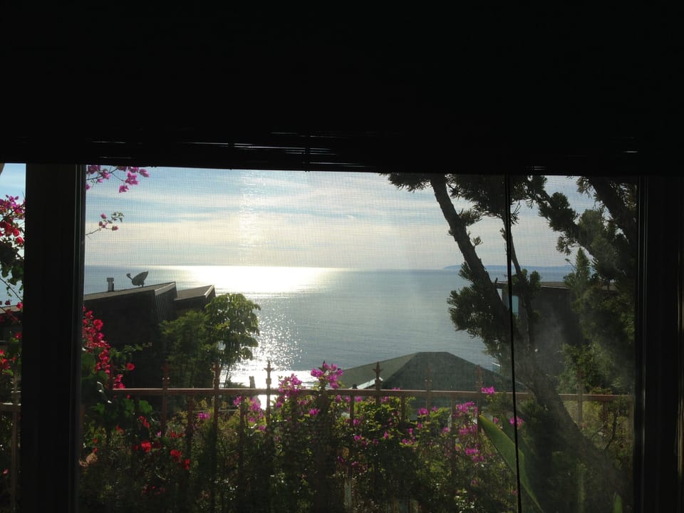 OCEAN CLOSE WITH OCEAN VIEWS 9493381883
