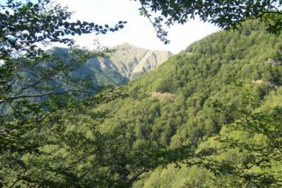 Mountain view