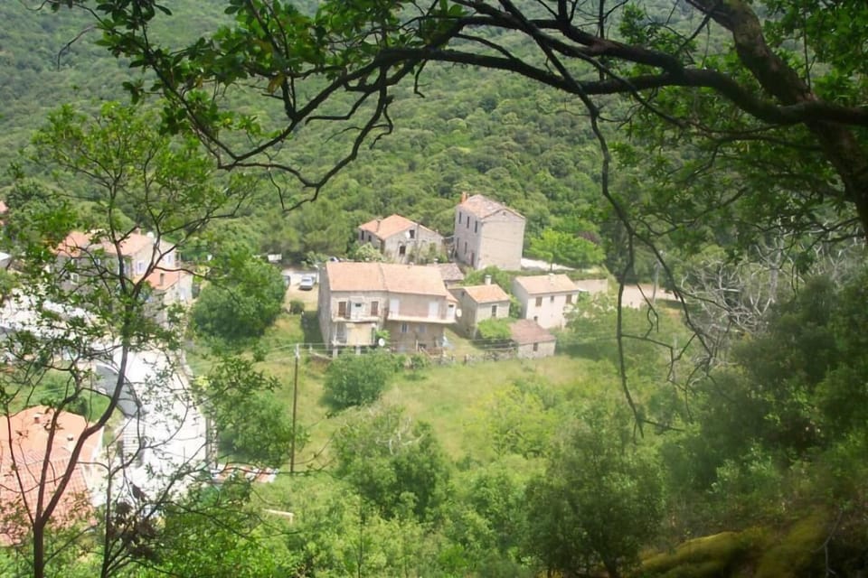 Overview