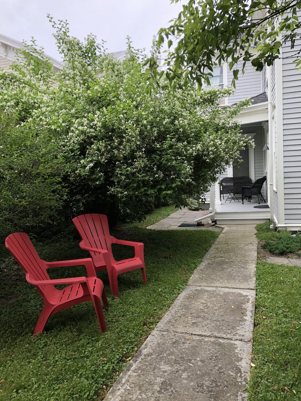 or in our backyard