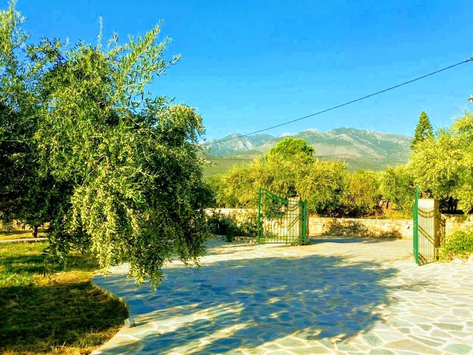 Villa Pefnos - set in its own olive grove with beautiful mountain views.