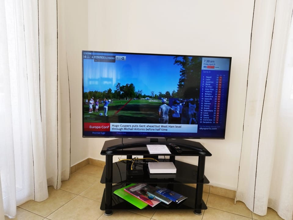 Television