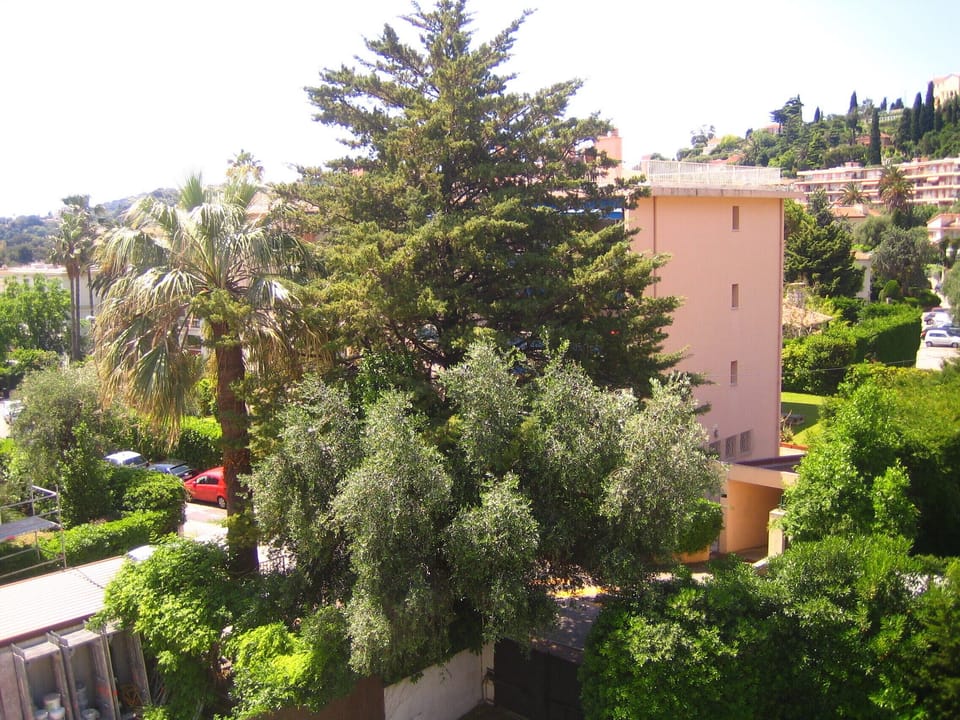 View from the apartment.
