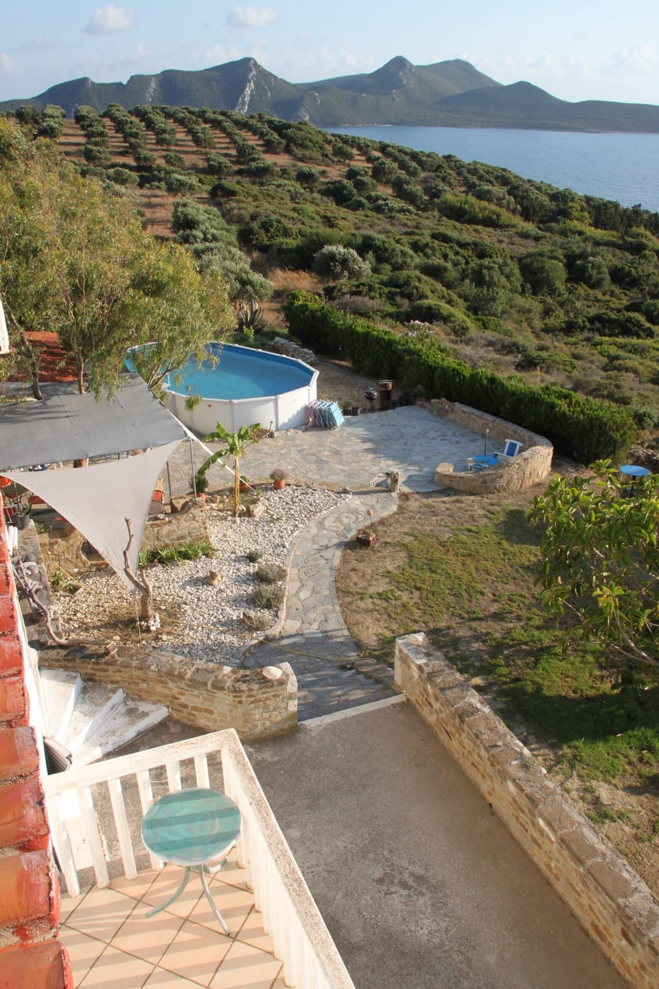bar, relax area, pool and olive grove