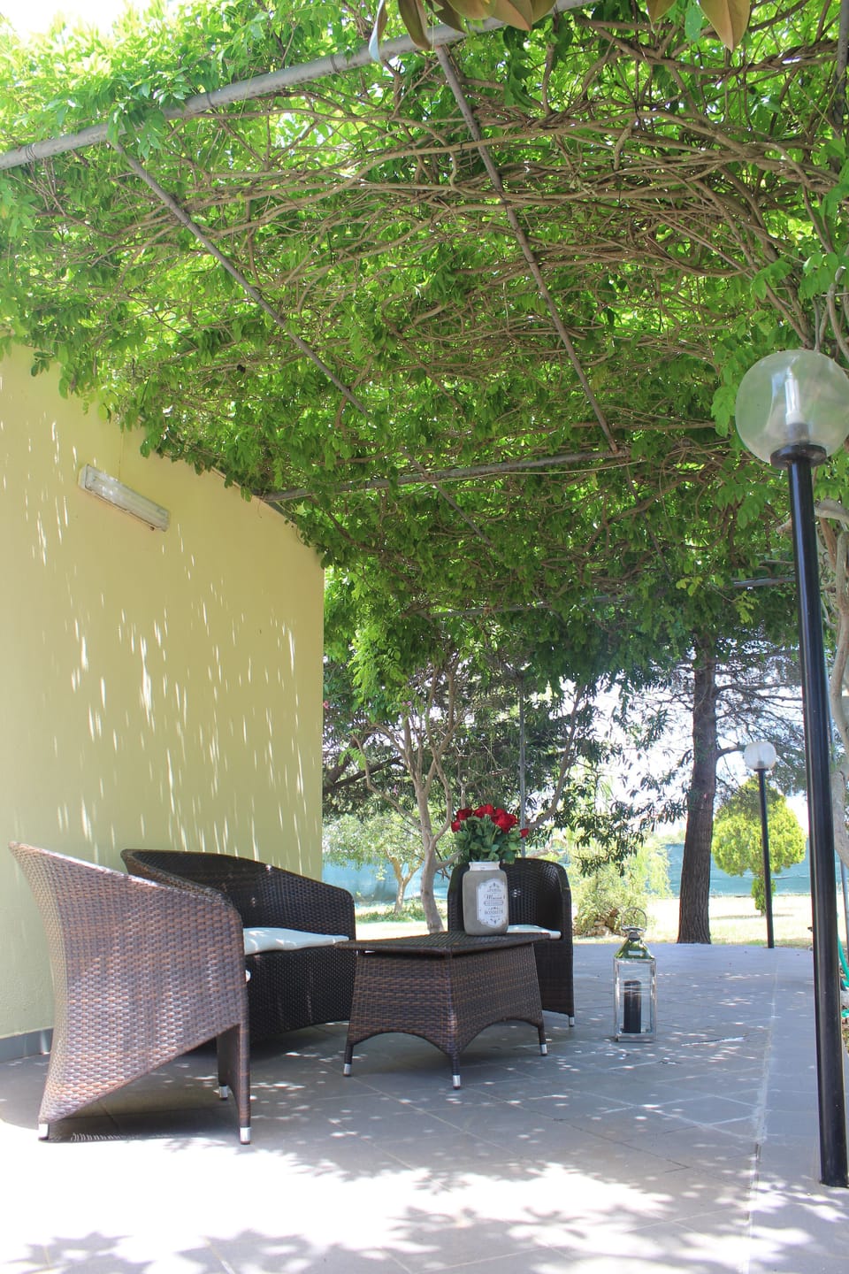 Terrace/patio