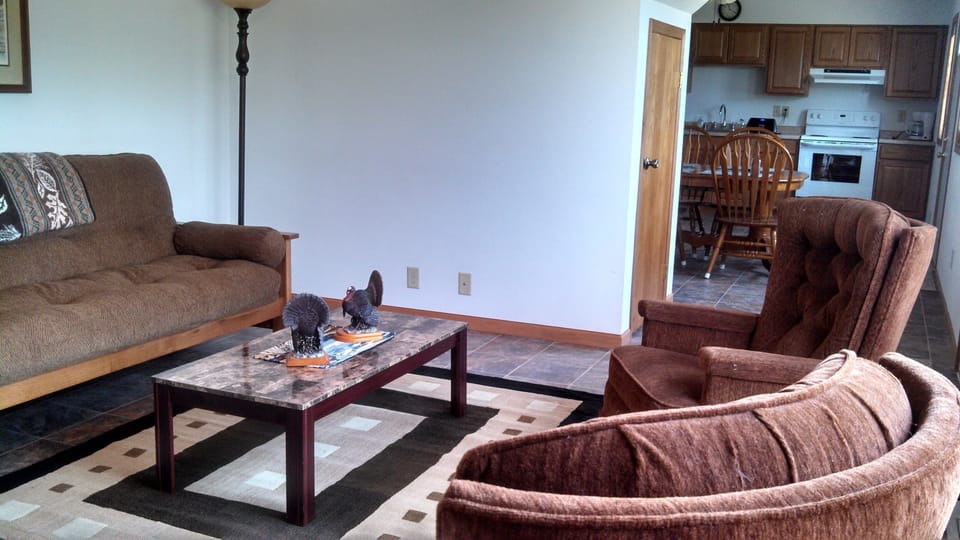 Downstairs living room